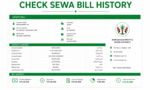 Check SEWA Bill History